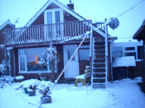 backsnow