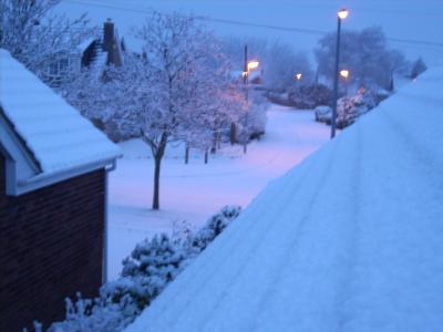 snow in the street