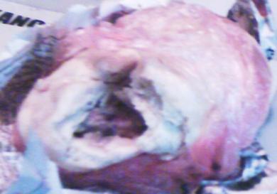 meat inside the taifu
