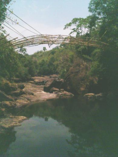 bamboo_bridge