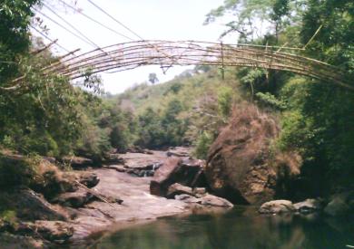 bamboo_bridge