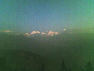pelling1