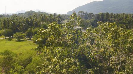 photo : house view