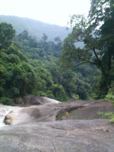 photo : phromkiri_falls
