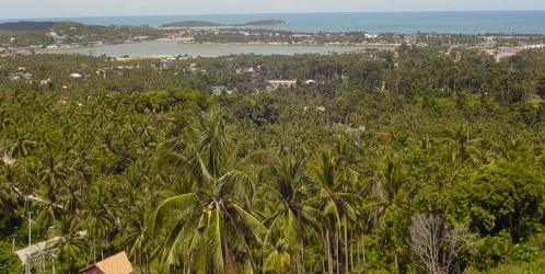 view down to Hat Chaweng and the lake