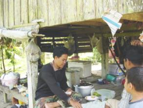 owner of Durian Orchard