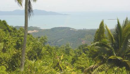 view at the top of the hill