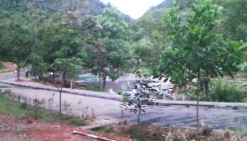 pornbung hotspring