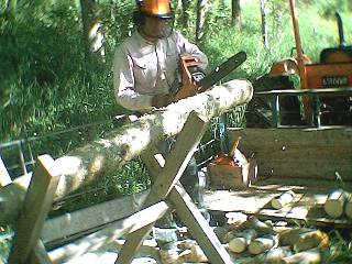 Chainsaw the logs