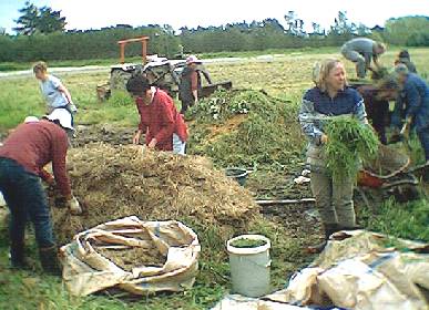 Emily's Composting Class