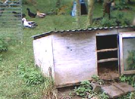 duckhouse