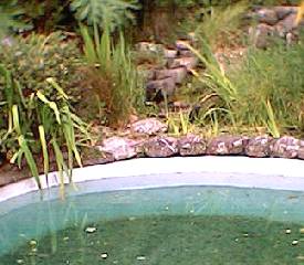 Non Chlorine swimming pool