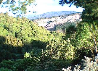 East View from top of the hill