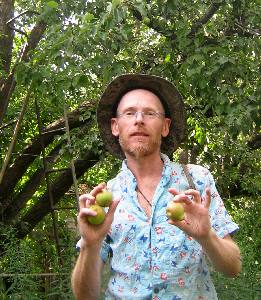 Stew in the pear garden