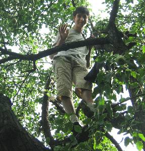 treeboy in the pear garden